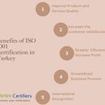 ISO certifications consultants vertex certifiers Profile Picture