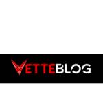 vetteblog Profile Picture