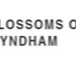 blossomof wyndham Profile Picture