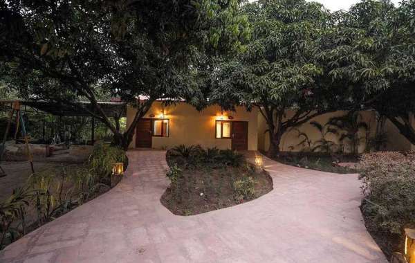 Celebrate New Year 2025 in Mussoorie with Exclusive Packages