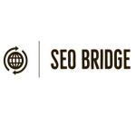 SEO Bridge Profile Picture