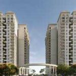 mahindraivylush Profile Picture