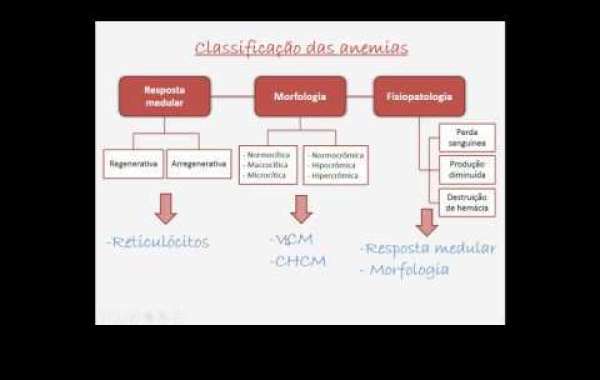 Dexametasona e Exames Hormonais: Implicações Importantes para a Saúde do Seu Pet