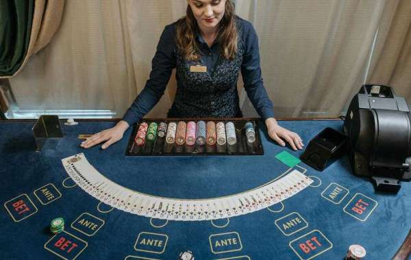 Understanding the Evolution Casino Scam Verification Community Inavegas