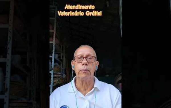 Exame de TGP em animais com sintomas gastrointestinais: o que você precisa saber